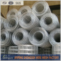 Wire mesh hot selling( all kinds of wire mesh in anping shengsen)